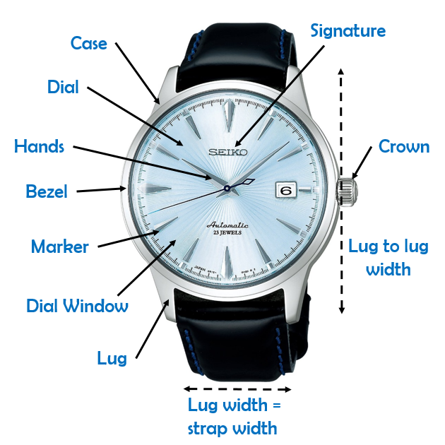 Automatic Watch Anatomy