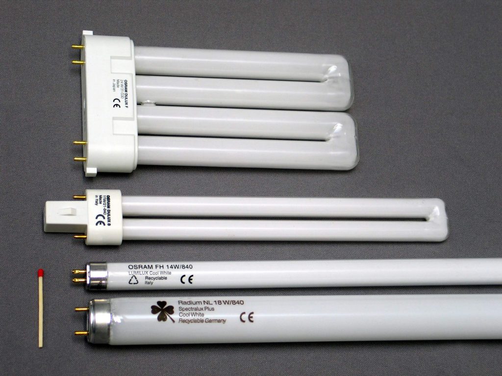 Fluorescent Lamp