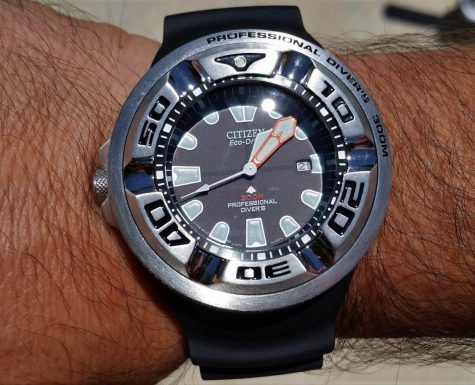citizen ecozilla 1000m