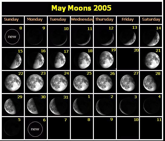 Moon phases daily